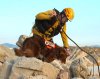 Los-Angeles-Task-&.jpg