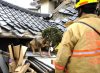 dog-rescue-japan..jpg