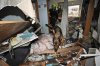 Rescue-dog-after-.jpg