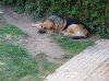 IMGP0036..jpg