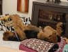 IMG_20250306_220551.jpg