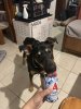 IMG_0684.jpeg