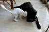IMG_1006.jpeg