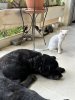 IMG_1088.jpeg