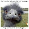 FB_IMG_1739546680222.jpg