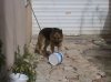 DSC00057..jpg
