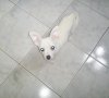 DSC00145..jpg