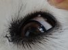 closeup..jpg