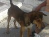 25052011099..jpg 25052011099..jpg