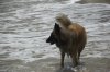 DSC_0802..jpg