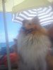 DSC00283.jpg