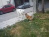 DSC00288.jpg