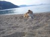 DSC00284.jpg