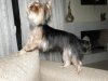201107030025..jpg