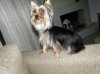 201107030024..jpg