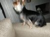 201107030023..jpg