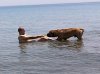 09072011070..jpg 09072011070..jpg