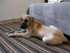 IMG_9158..jpg