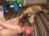 IMG_9154..jpg