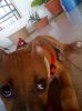 photo(10)..jpg