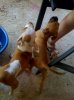 photo(11)..jpg