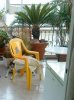 DSC01580..jpg