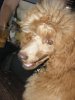 201107300094..jpg