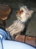 201107300073..jpg