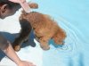 201107300100..jpg