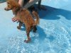 201107300109..jpg