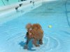 201107300108..jpg