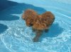 201107300110..jpg
