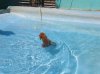 201107300112..jpg