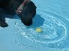 201107300106..jpg