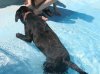 201107300111..jpg