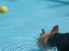 201107300107..jpg