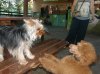 201107300069..jpg