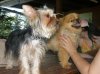201107300063..jpg