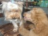 201107300068..jpg