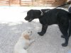 201107300122..jpg