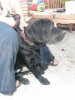 201107300123..jpg
