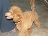 201107300083..jpg