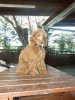 201107300066..jpg