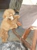201107300084..jpg