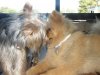 201107300087..jpg
