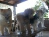 201107300053..jpg