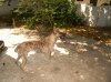 DSCN0357..jpg
