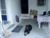 DSC01687..JPG