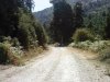 DSC01882..jpg