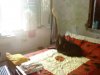 DSC01647..JPG
